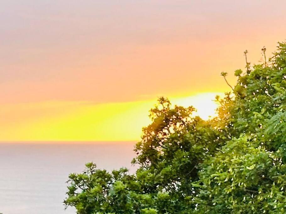 Apartamento Sea View Sun Centre Plettenberg Bay Exterior foto