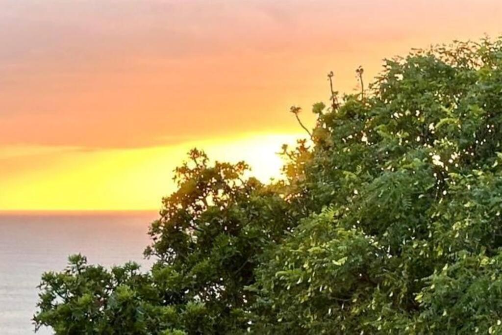 Apartamento Sea View Sun Centre Plettenberg Bay Exterior foto